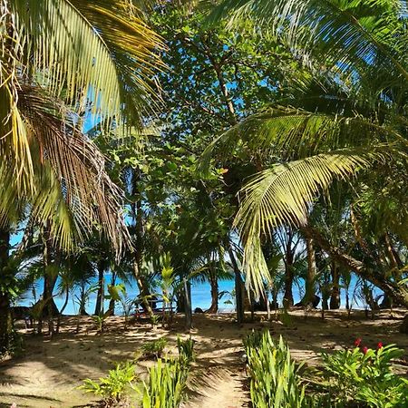 Drago Beach House - Private Beach Boca del Drago Exteriör bild