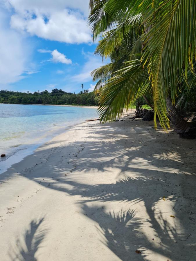Drago Beach House - Private Beach Boca del Drago Exteriör bild