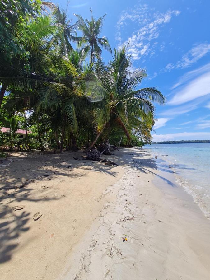 Drago Beach House - Private Beach Boca del Drago Exteriör bild