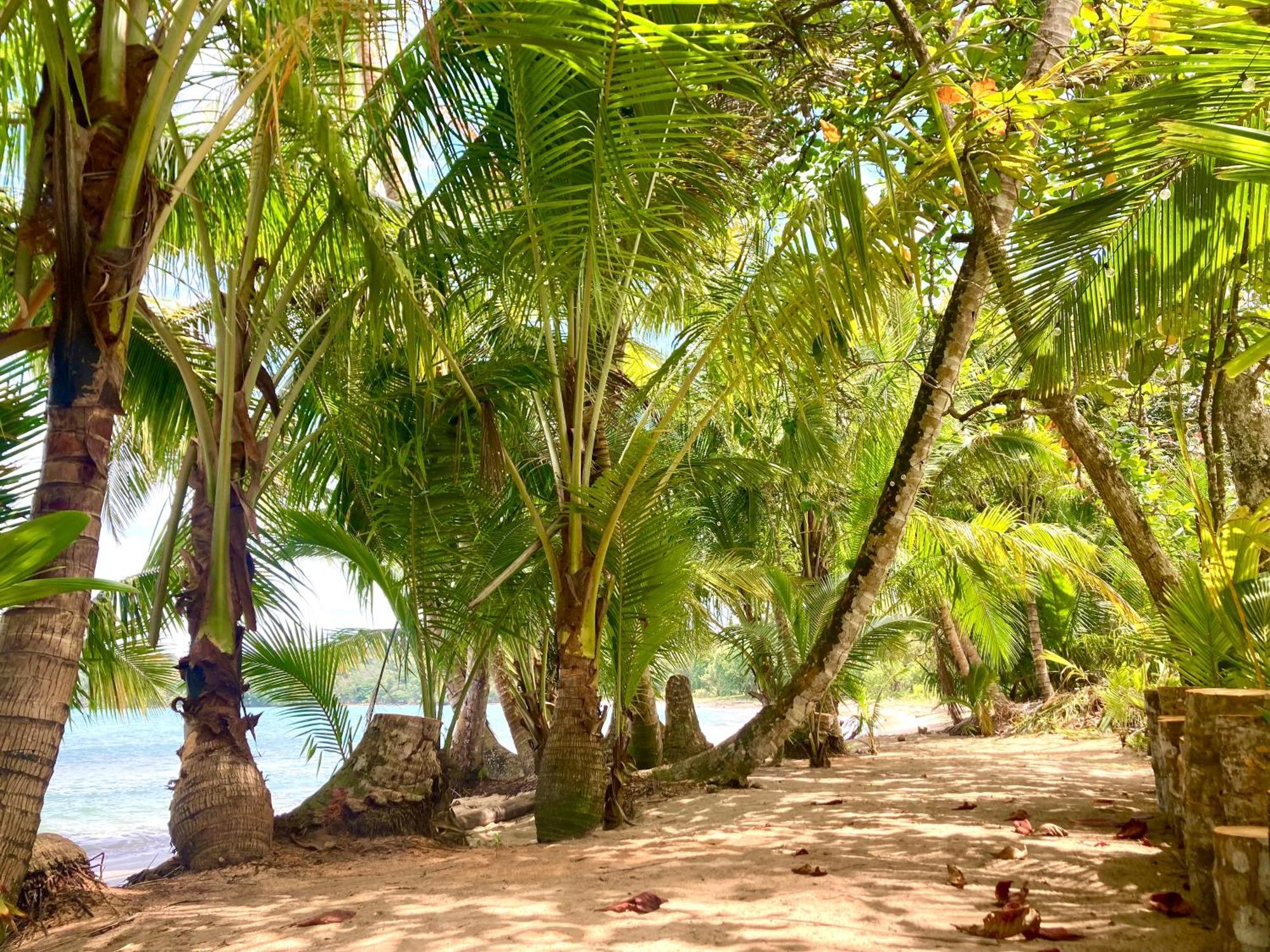 Drago Beach House - Private Beach Boca del Drago Exteriör bild