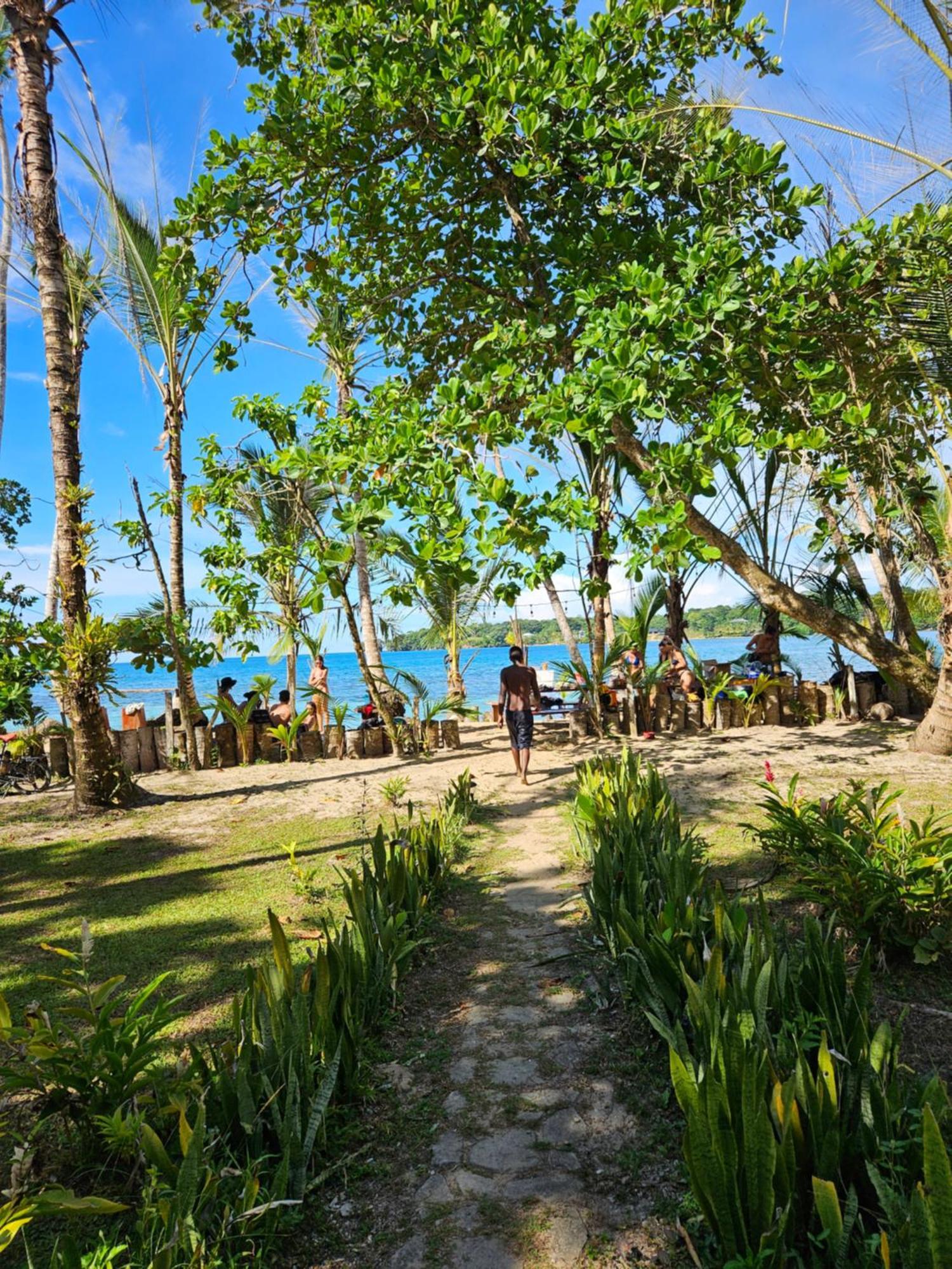 Drago Beach House - Private Beach Boca del Drago Exteriör bild