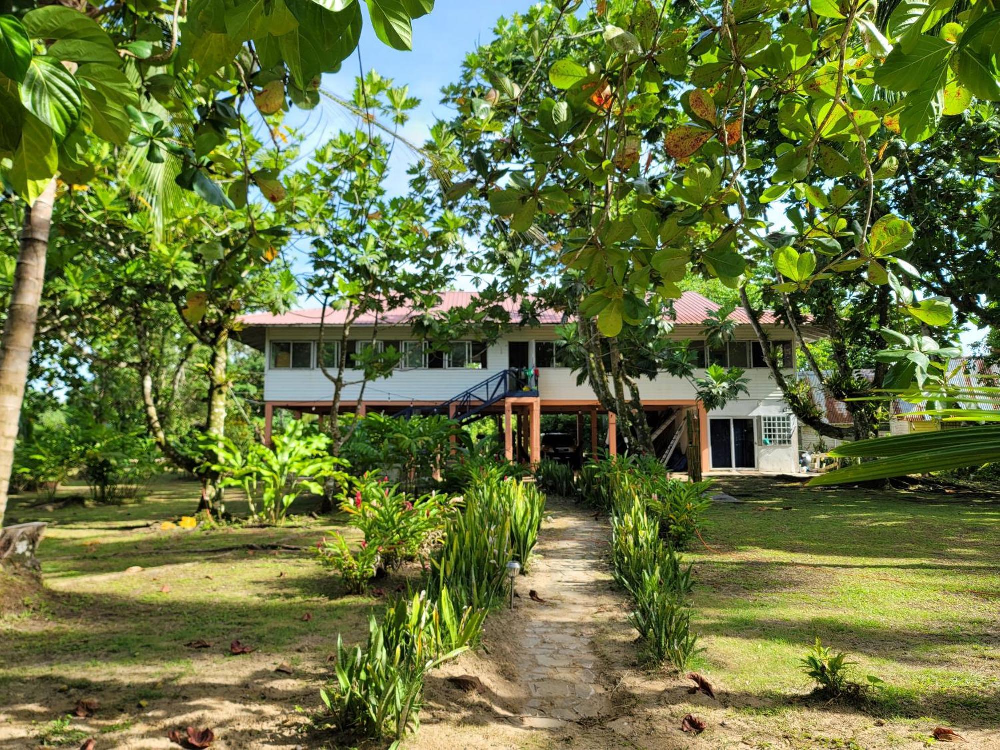 Drago Beach House - Private Beach Boca del Drago Exteriör bild